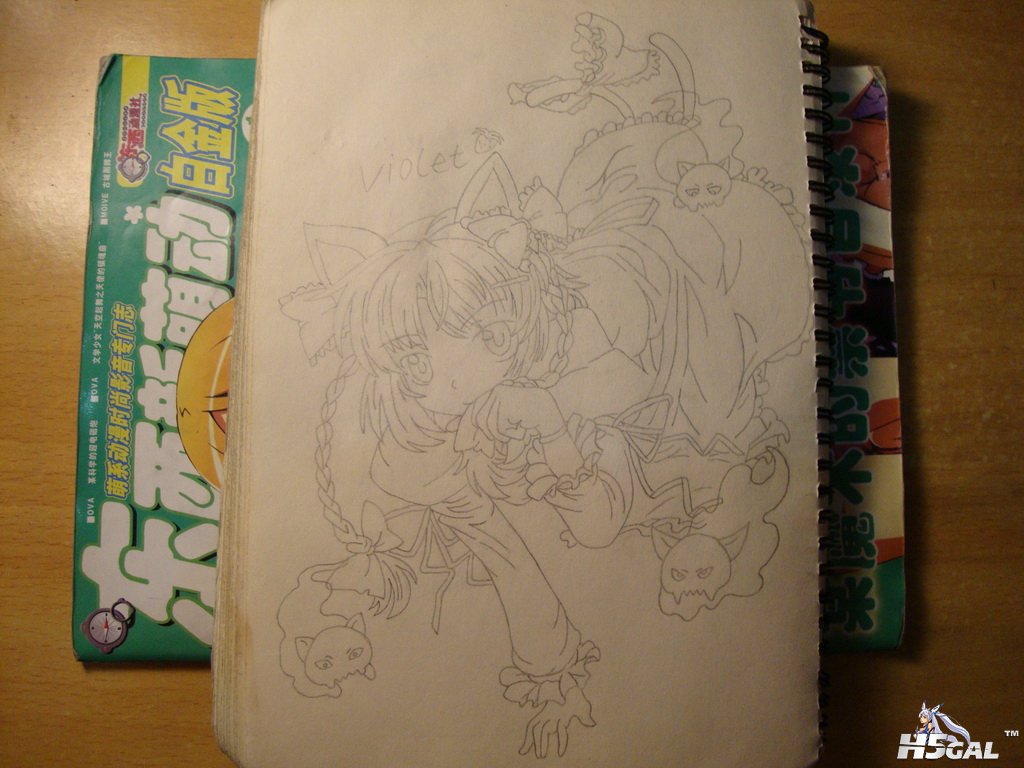 39~火焰猫~猫车卖萌姿势~DSC02464_调整大小.JPG