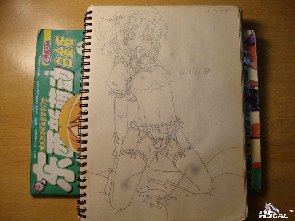 46~~大小姐~雷米莉亚~蹲下开腿电动玩具姿势肉爱~DSC02472_调整大小.jpg