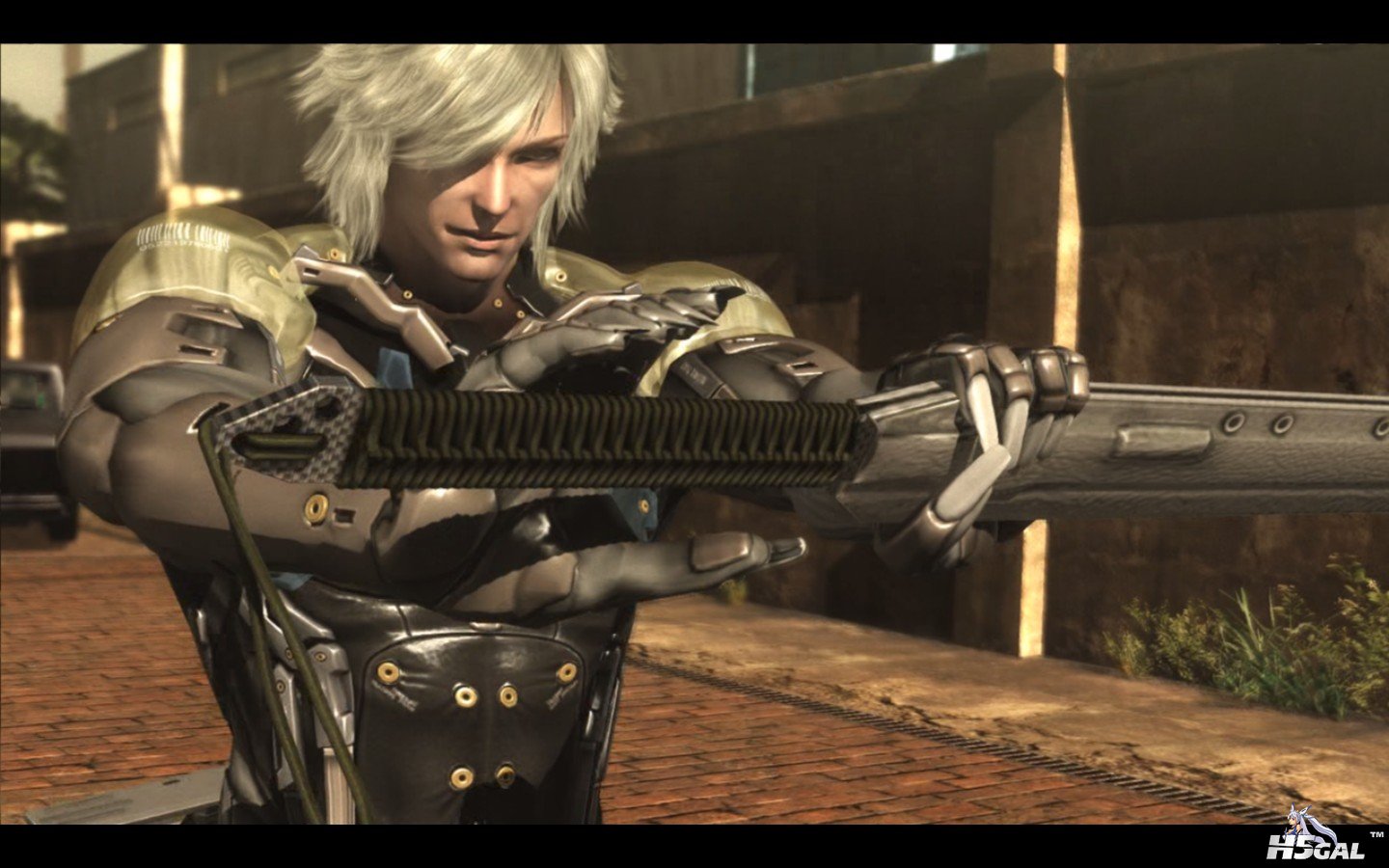 METAL GEAR RISING REVENGEANCE_2014_01_11_18_25_17_321.jpg