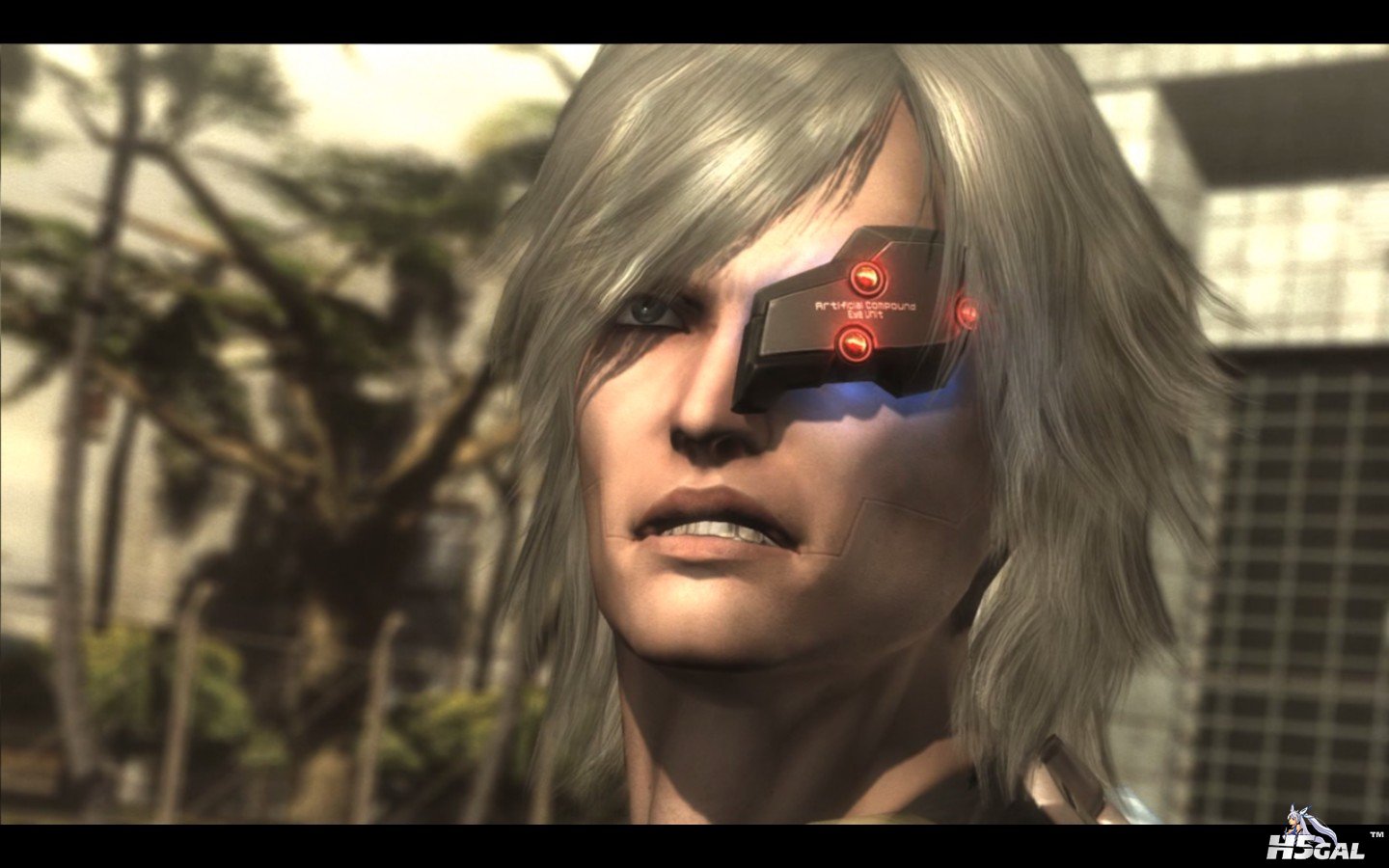 METAL GEAR RISING REVENGEANCE_2014_01_11_18_32_29_978.jpg