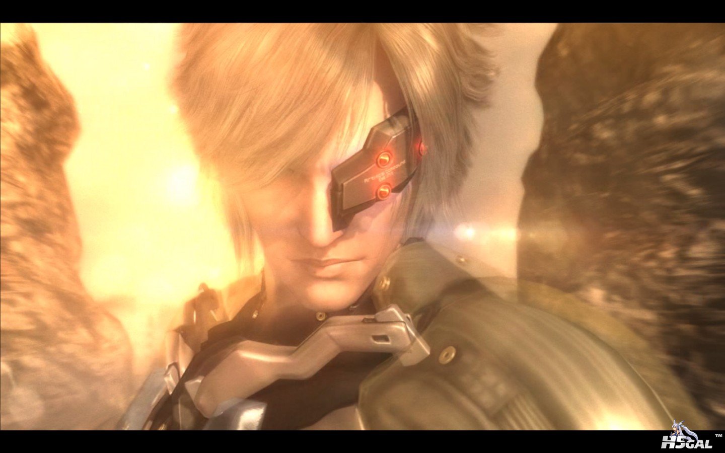 METAL GEAR RISING REVENGEANCE_2014_01_11_18_51_48_035.jpg