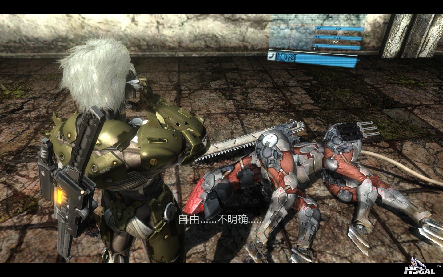 METAL GEAR RISING REVENGEANCE_2014_01_11_19_54_25_352.jpg