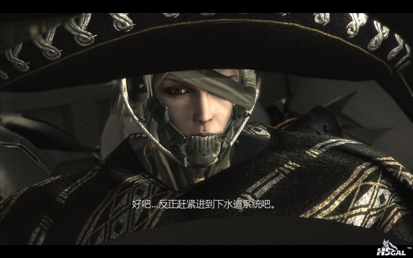 METAL GEAR RISING REVENGEANCE_2014_01_12_19_03_58_399.jpg