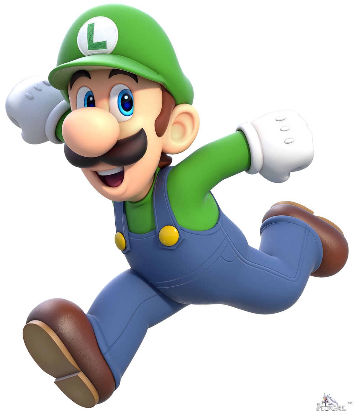sm3dw-luigi.jpg