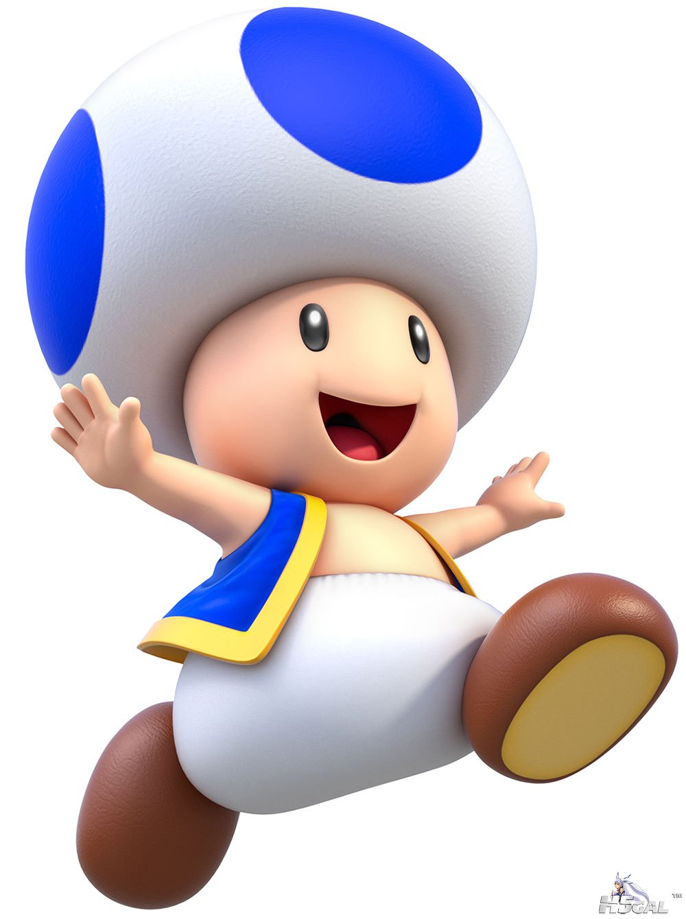 sm3dw-toad.jpg