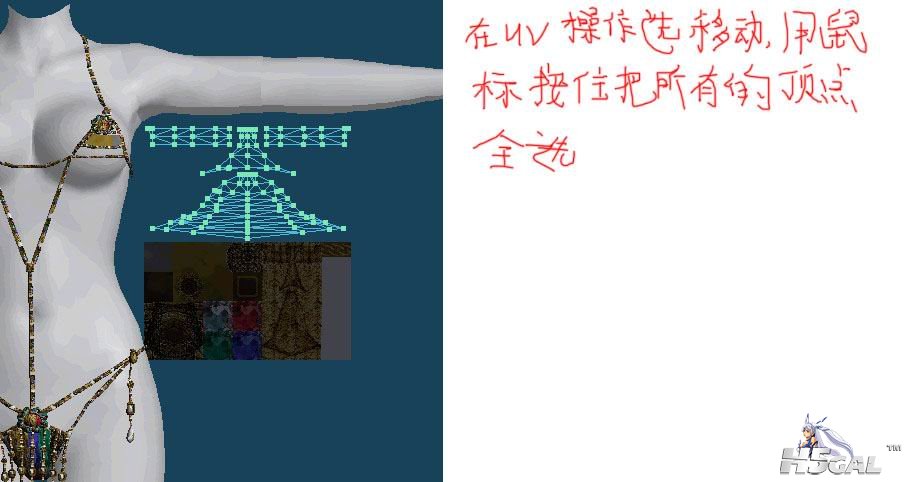 1011.jpg