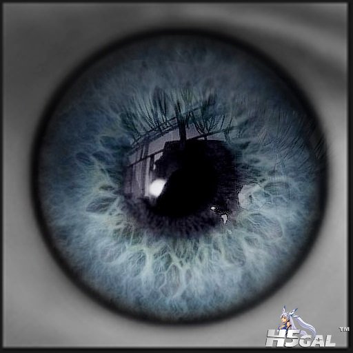 cw_t_eye_12_03.jpg