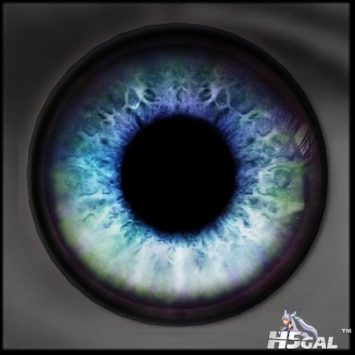 cw_t_eye_12_06.jpg