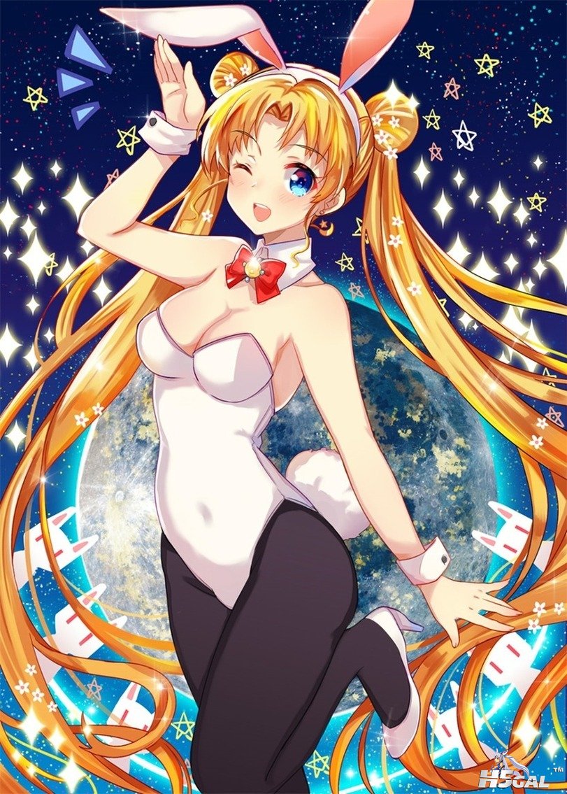 Anime-sailor-moon-Bishoujo-Senshi-Sailor-Moon-banny-1496655.jpg