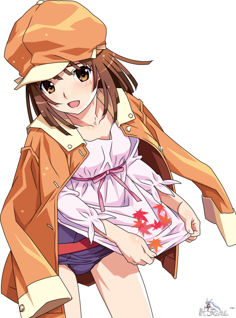 Anime-Sengoku-Nadeko-Bakemonogatari-1493316.png