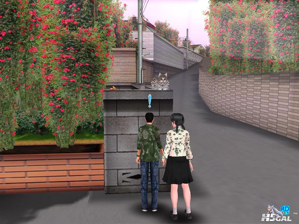 05看神猫.jpg