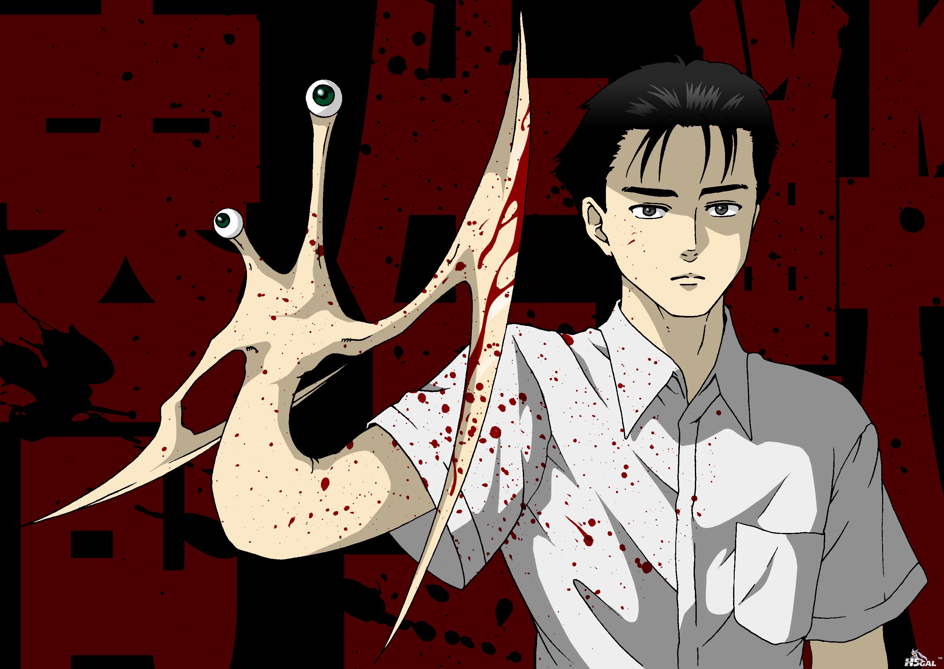 Ash_050.jpg