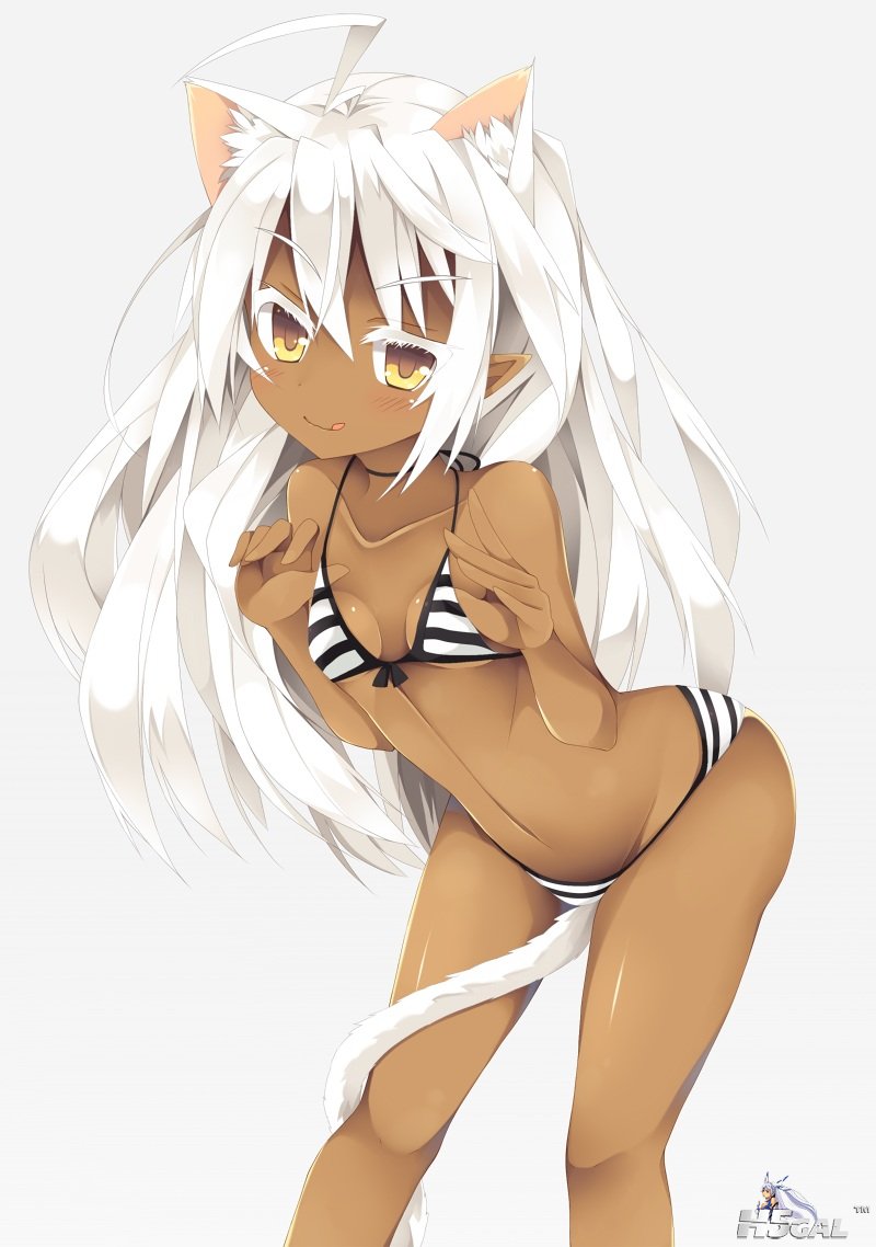 yande.re 288272 animal_ears bikini nekomimi nibiiro_shizuka pointy_ears swimsuits tail.jpg