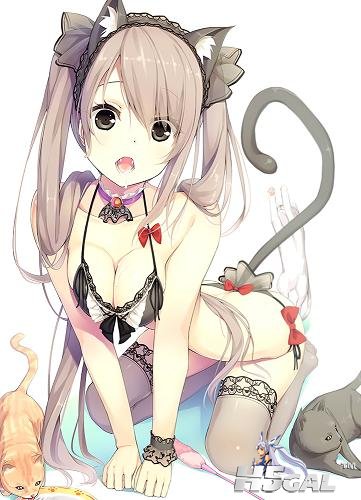 yande.re 289334 animal_ears bra cleavage neko pantsu peragura string_panties tag.jpg