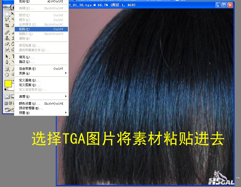 粘贴头发.jpg