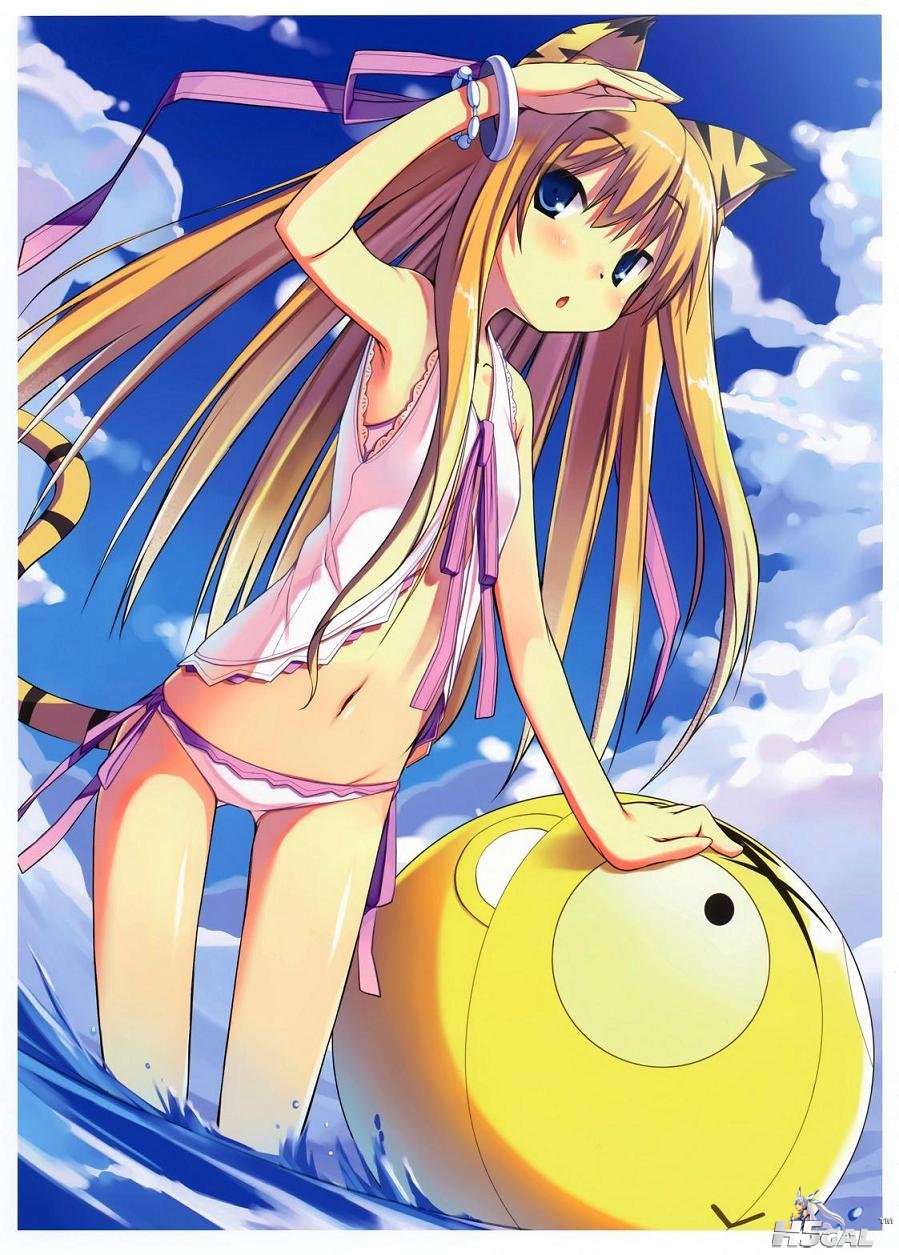yande.re 212536 animal_ears bikini nekomi.jpg