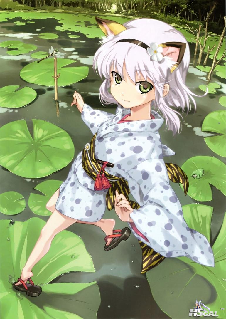 yande.re 230730 animal_ears happoubi_jin .jpg