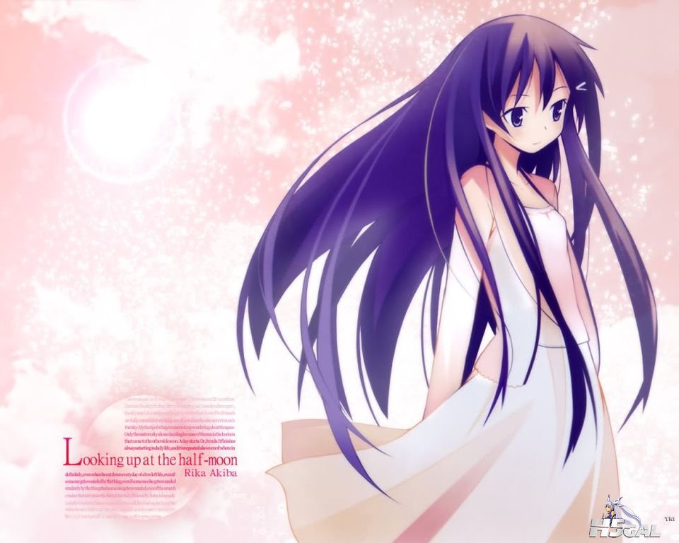 1cec57df8db1cb13d68cc65adc54564e93584b52.jpg