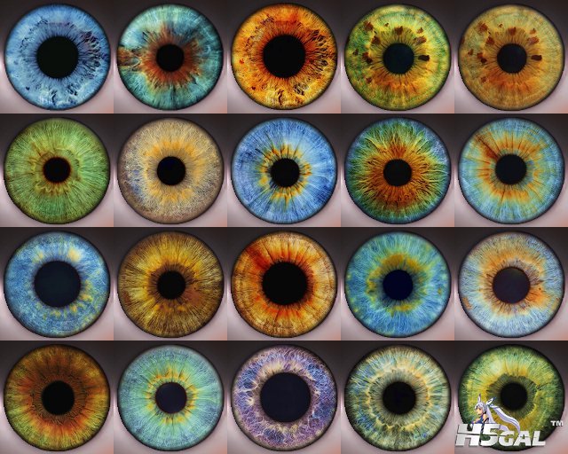 Darziel_Eyes_Sample.jpg