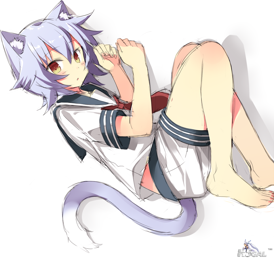 86d7d87c22b61c900ff744a4a48a1031.png