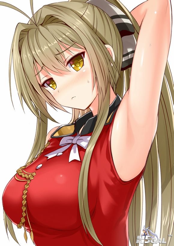 t4.jpg