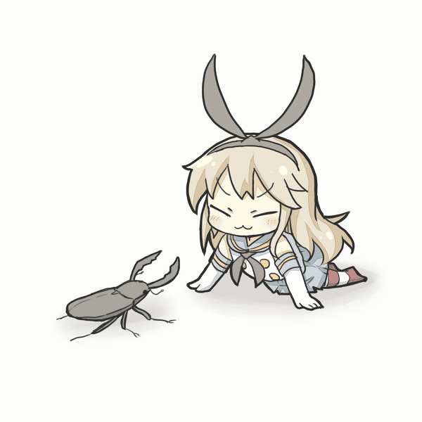 12.gif