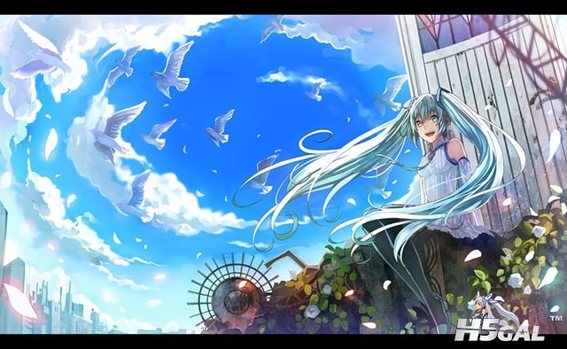 miku-bird-illustration-01.jpg