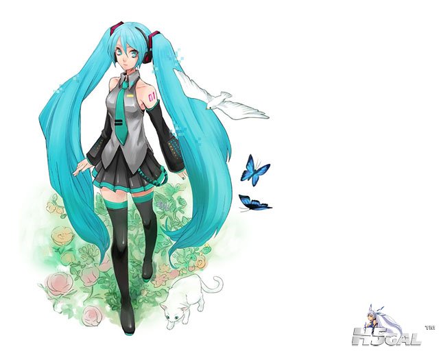 miku-bird-illustration-04.jpg