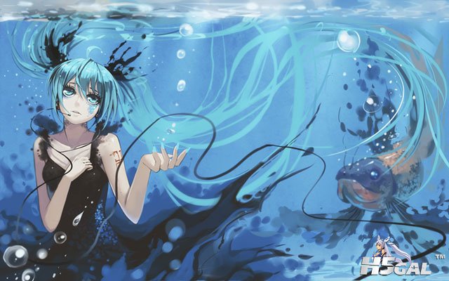 miku-fish-illustration-07.jpg