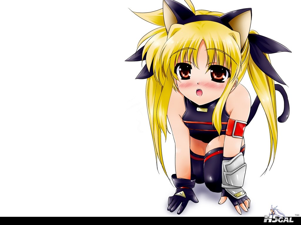 Konachan_com - 36172 fate_testarossa mahou_shoujo_lyrical_nanoha.jpg