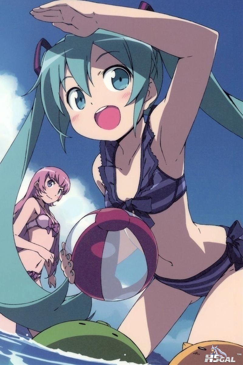 83_1.jpg
