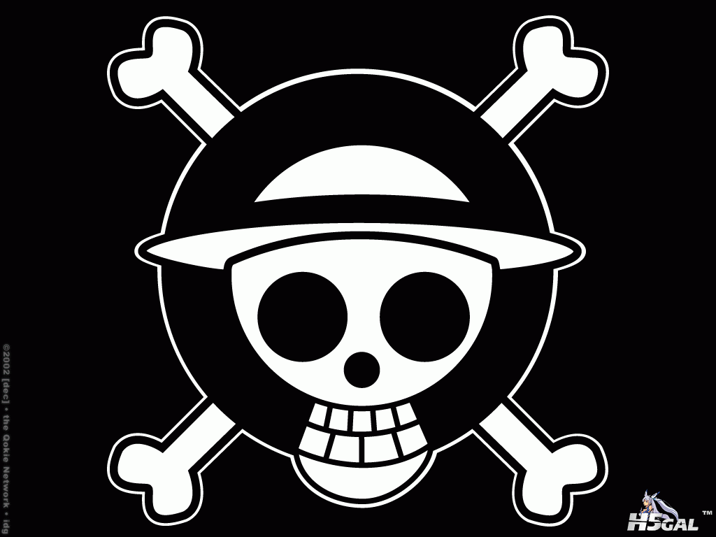 One-Piece-one-piece-6218309-1024-768.gif
