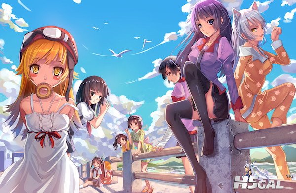 monogatari-fin.jpg