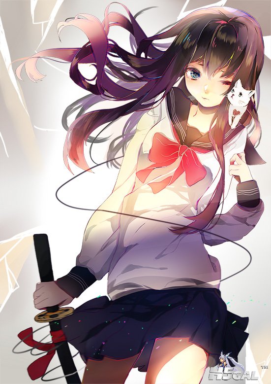 (pid-43081889)翠目と刀と猫と**.jpg