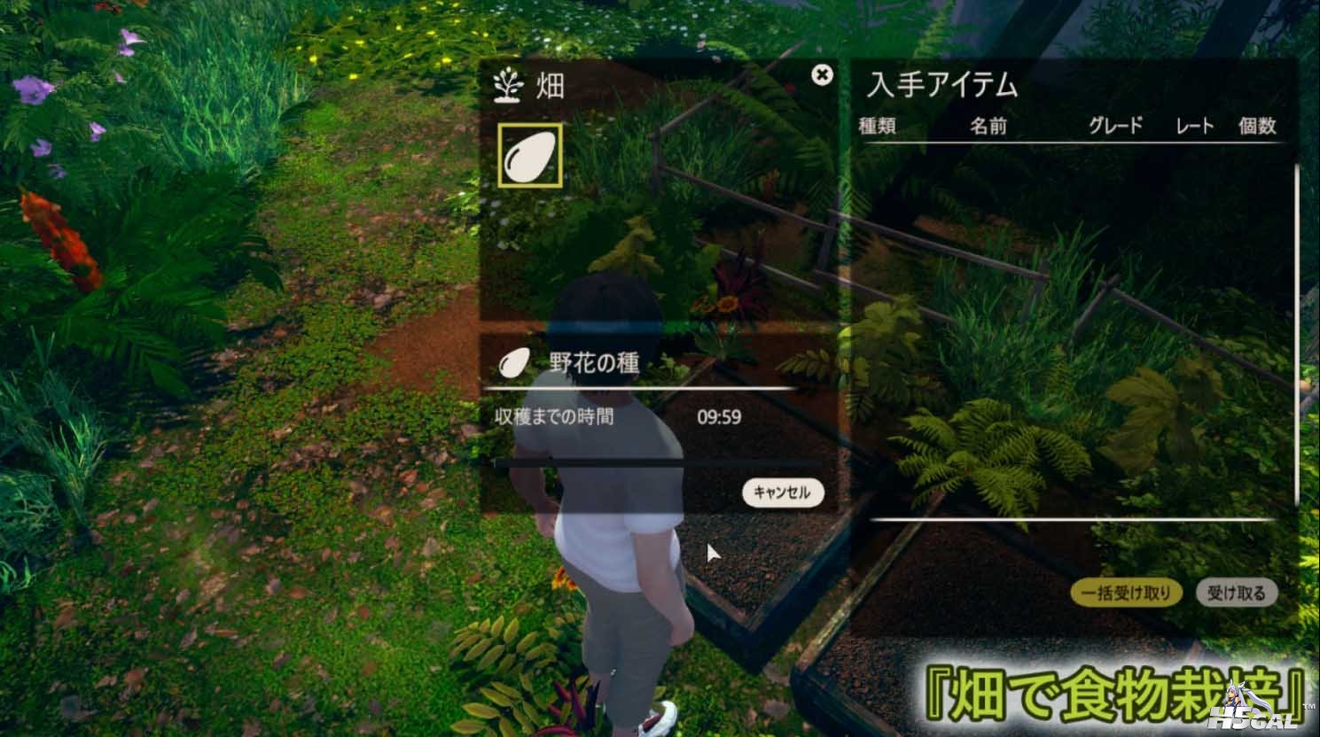 可以种菜吃